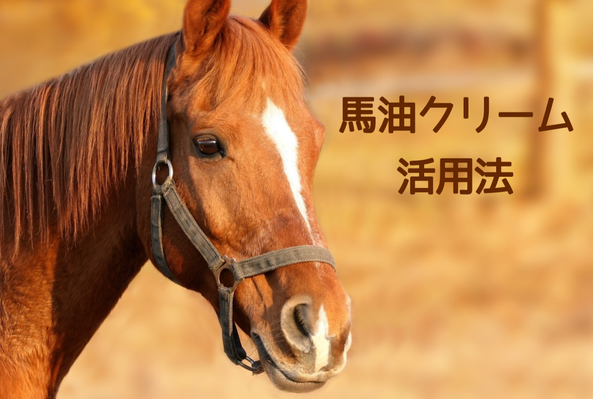 乾燥の季節の味方！馬油クリームの活用法